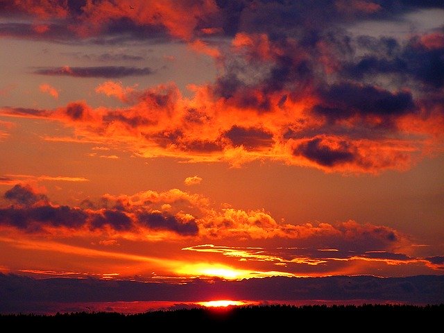 Il colore dell’estate